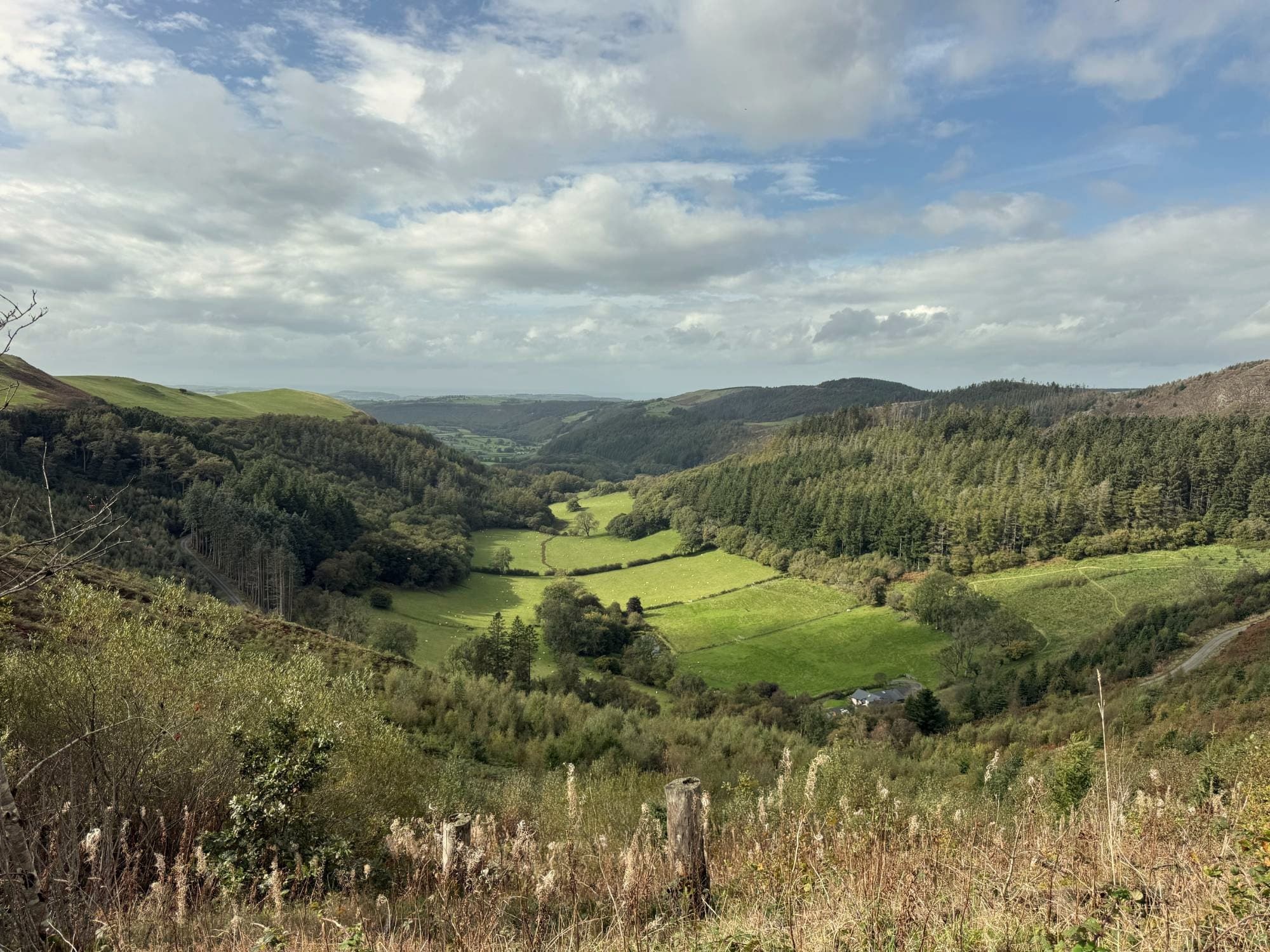 A green Welsh valley between wooded hillsides, sheep in the fields under a wide, bright sky
