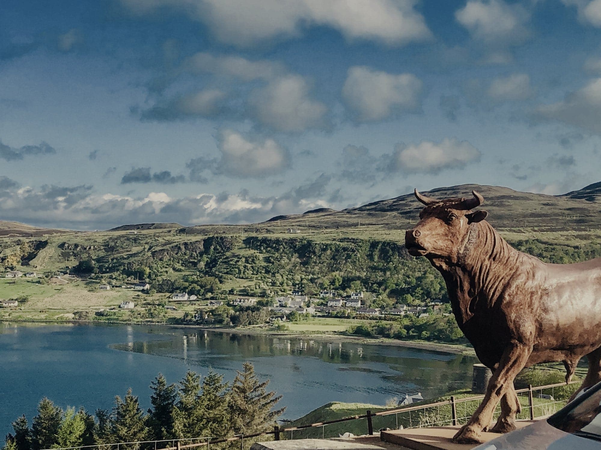 A sea loch below green hills and a row of white houses, a bronze bull sculpture on the right in the foreground